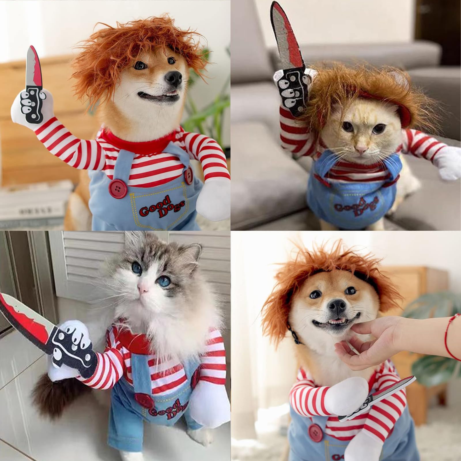 Coole Halloween-Kostüme Für Hunde - Gruselige Puppen-Verwandlung Mit Perücke & Messer
