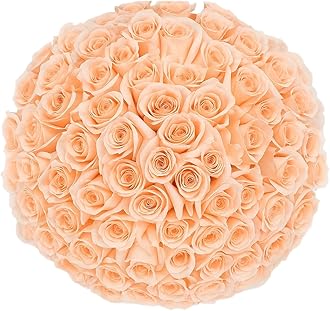 GlobalRose 100 Peach Roses Bouquet - Responsibly Sourced Roses Fresh Flowers - Hand-Picked Flowers Fresh Bouquet for Graduation, Anniversary, Birthday & Special Occasions (4 Bunches of 25 Stems)