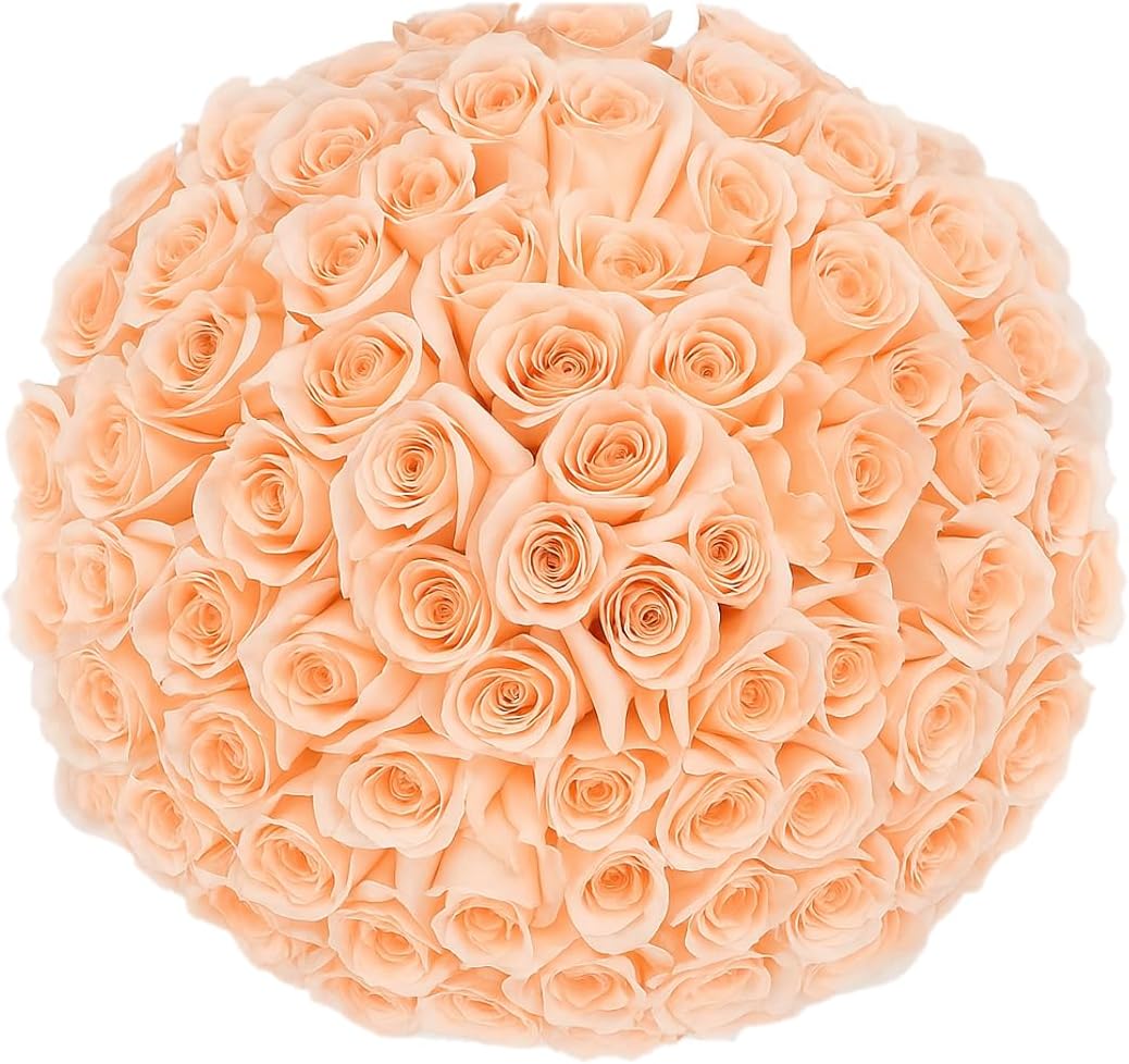 GlobalRose 100 Peach Roses Bouquet - Responsibly Sourced Roses Fresh Flowers - Hand-Picked Flowers Fresh Bouquet for Graduation, Anniversary, Birthday & Special Occasions (4 Bunches of 25 Stems)