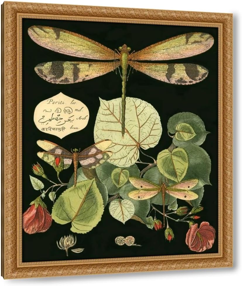 Vision Studio 28x34 Black Ornate Framed Canvas Art Print Titled: Whimsical Dragonfly on Black II