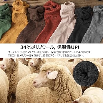 Amazon.co.jp: TSGarden メリノウール 靴下 レディース 3足