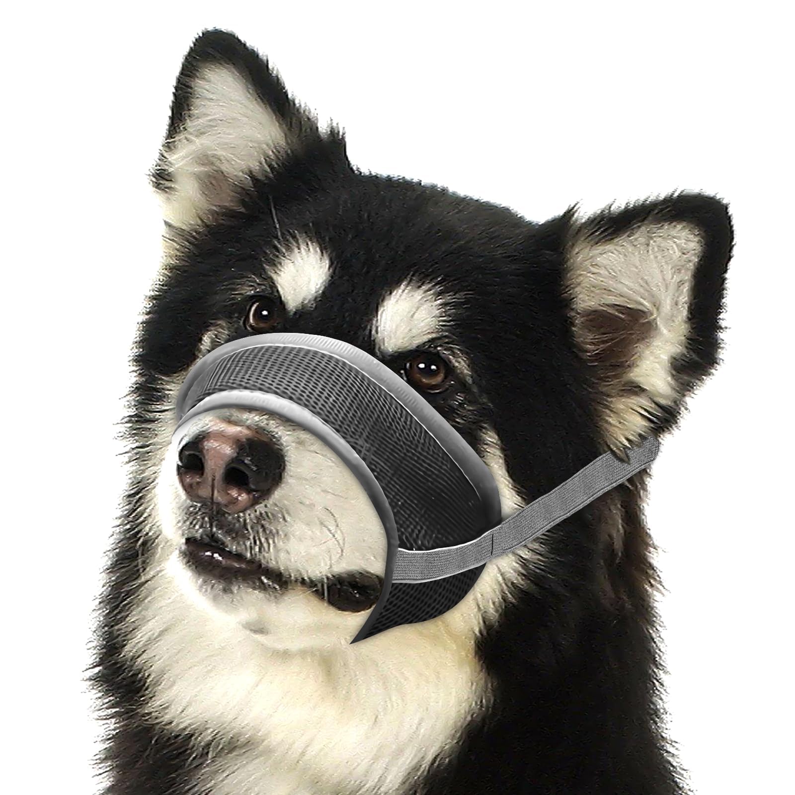 Dog Muzzle, Soft Nylon Muzzle to Prevent Biting Barking Chewing, Breathable Mesh Adjustable Drinkable Loop Pets Muzzle for Small Medium Large Dogs, Mouth Cover Suit for Training, Grooming