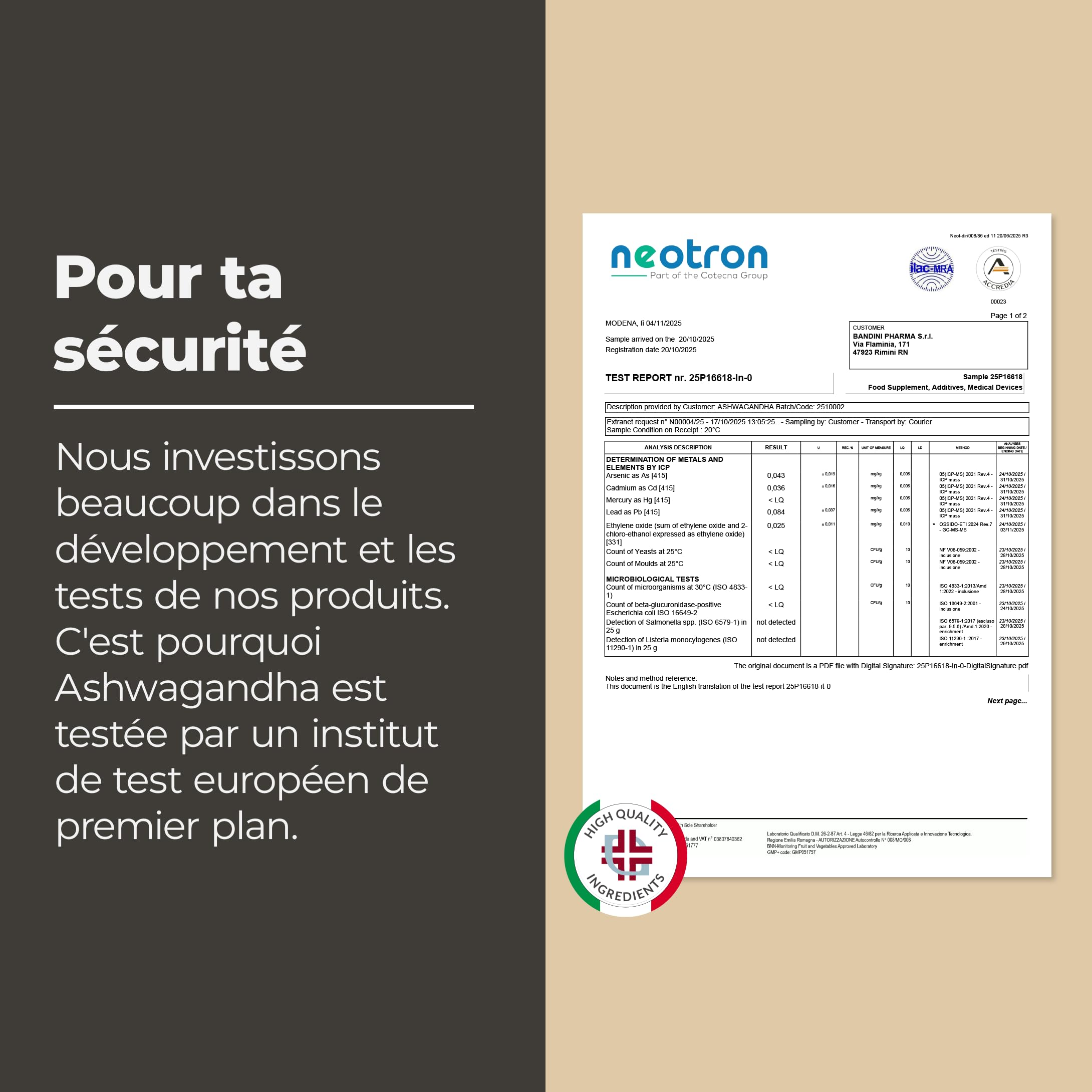 Bandini® Ashwagandha BIO KSM-66® Extra Fort - 500mg par dose, 5% de witanolides - 180 Gélules pour 6 mois - Poudre de Withania Somnifera 100% Végane - Bien-Être Physique & Mental, Tonus, Concentration