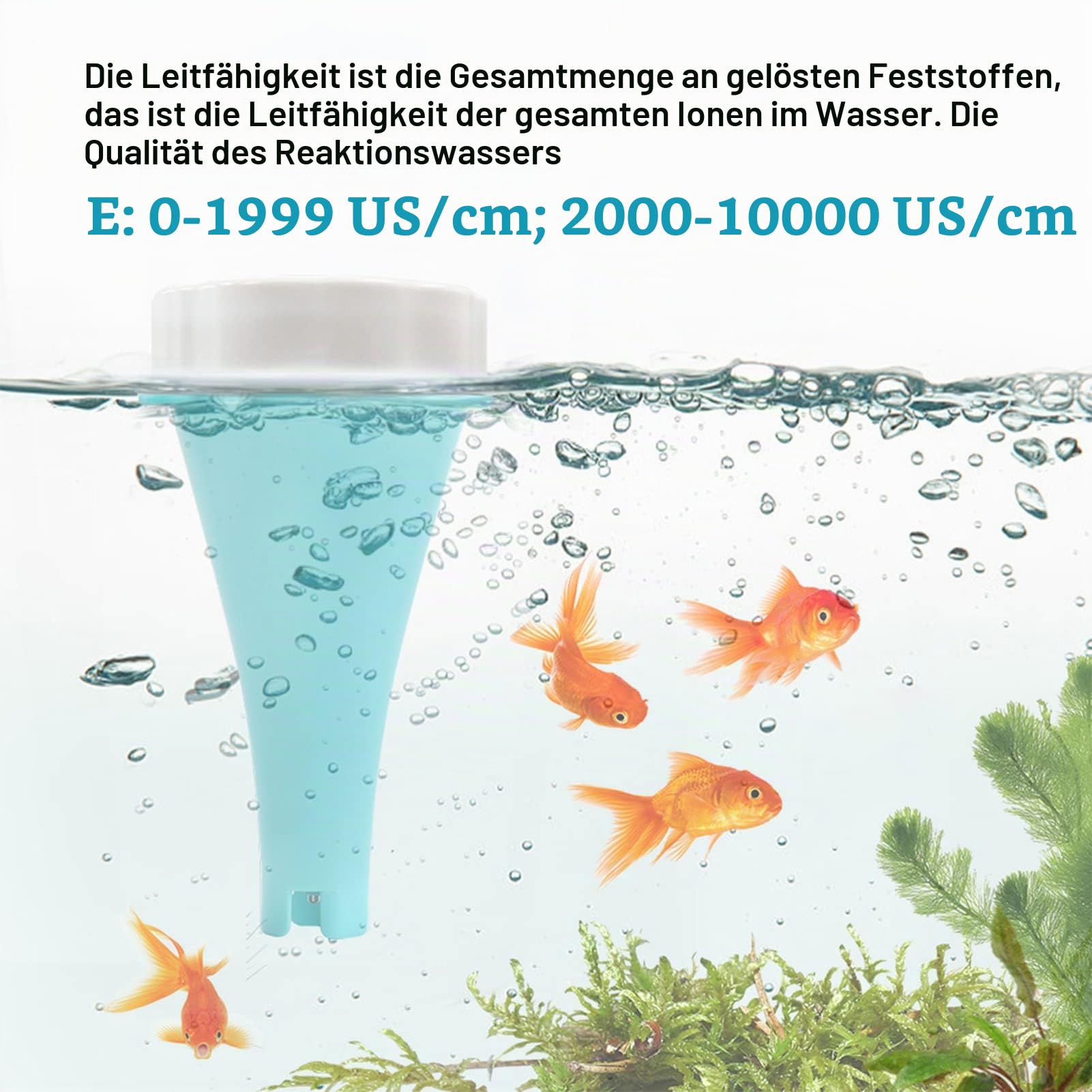 Asixxsix Wasserprüfgerät, 6 in 1 PH EC TDS ORP CL Temp Digitaler Wasserprüfstift, Hochpräziser Bluetooth-Wasserqualitätstester für Schwimmbecken, Hydroponik, Trinkwasser, Aquarien