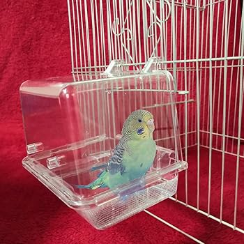 Suszian Baignoire Suspendue Oiseau Transparent Baignoire Oiseau Mangeoire Pour Animaux Cage A Oiseaux Accessoire Pour Oiseau Perruche Calopsitte Amazon Fr Cuisine Maison Suszian Baignoire Suspendue Oiseau Transparent Baignoire Oiseau Mangeoire Pour Animaux Cage A Oiseaux Accessoire Pour Oiseau Perruche Calopsitte Amazon Fr Cuisine Maison