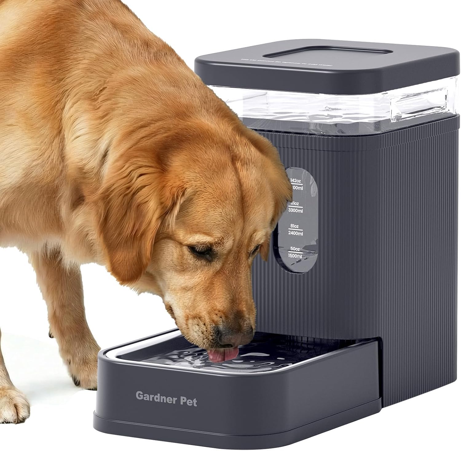 Gardner Pet Dispensador Automático de Agua para Perros y Gatos 6.5L-Gris | Bebedero por Gravedad,Cuenco de Acero Inoxidable,Sin Electricidad,Libre de BPA,para Perros y Gatos