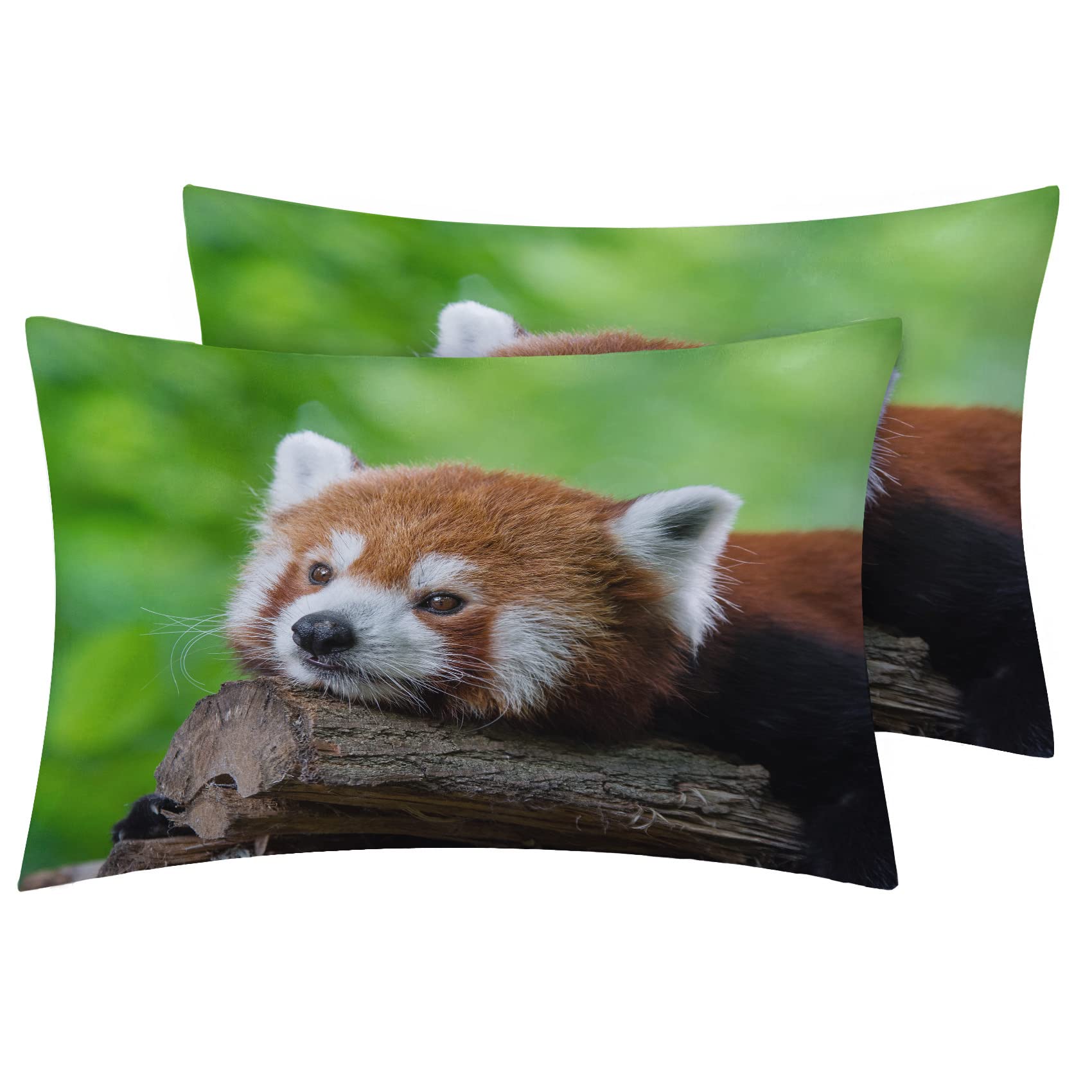 Twin Dekbedovertrek Rode Panda Dieren Twin Beddengoed Sets 3 Stuks - Microfiber Hotel Kwaliteit Trooster Cover met Ritssluiting en 2 Kussen Shams 20x26 inch