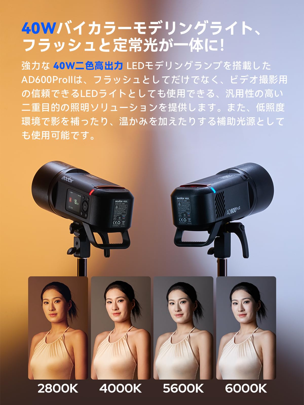 Amazon | 【Godox正規代理店＆日本語取扱説明書】Godox AD600Pro II 