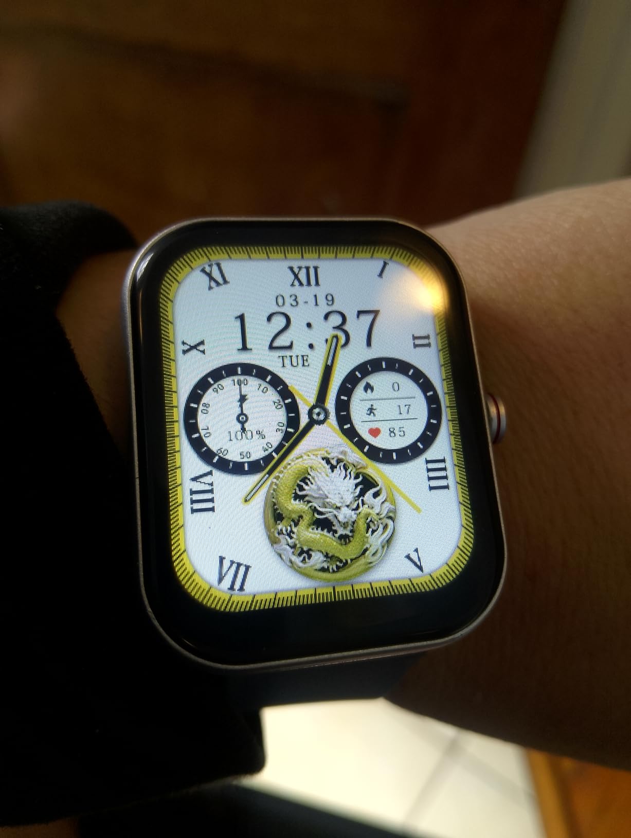 Can't get Sleep monitor to work