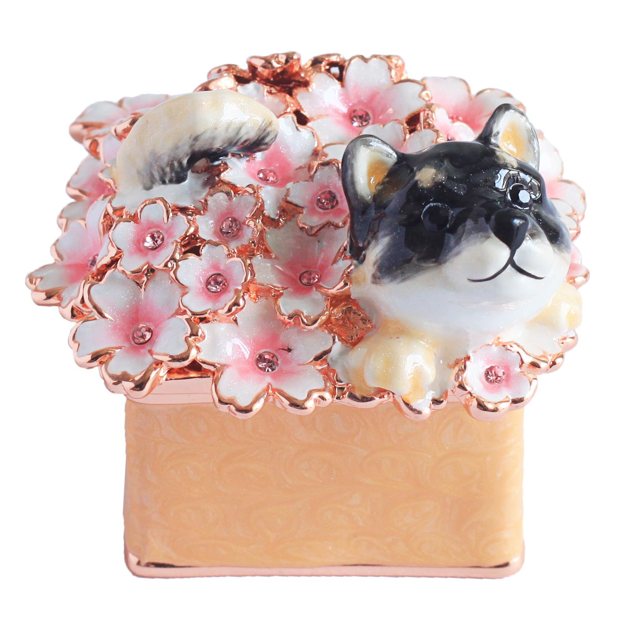 Piearth 柴犬 モチーフ ジュエリーボックス ふくとさくら Amazon.co.jp: 東京銀座PICALS 季節の柴犬シリーズ 柴犬のふく 黒柴の