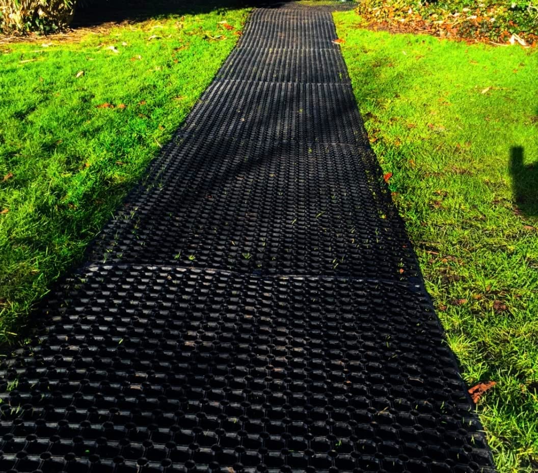 View 8