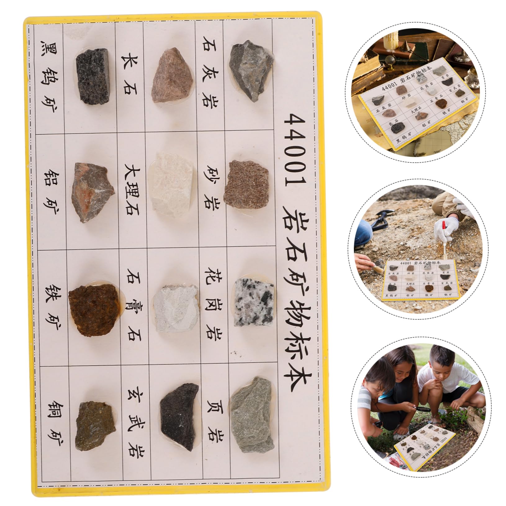 Ciieeo Educational Geology Tool 12-Piece Mineral Rock Specimen Set for Lab Classroom Teaching