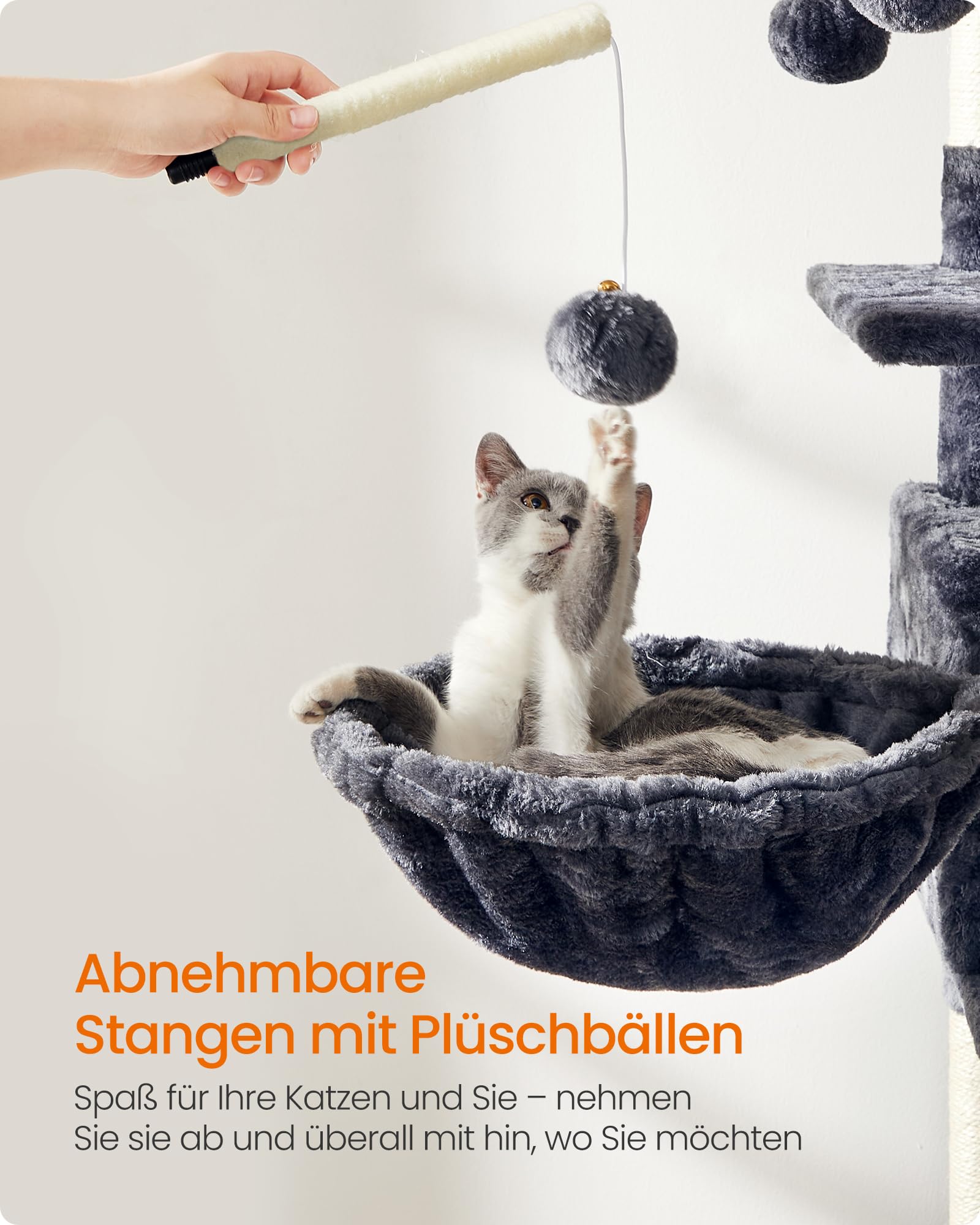 Feandrea Kratzbaum, L Katzenbaum, 158,6 cm
