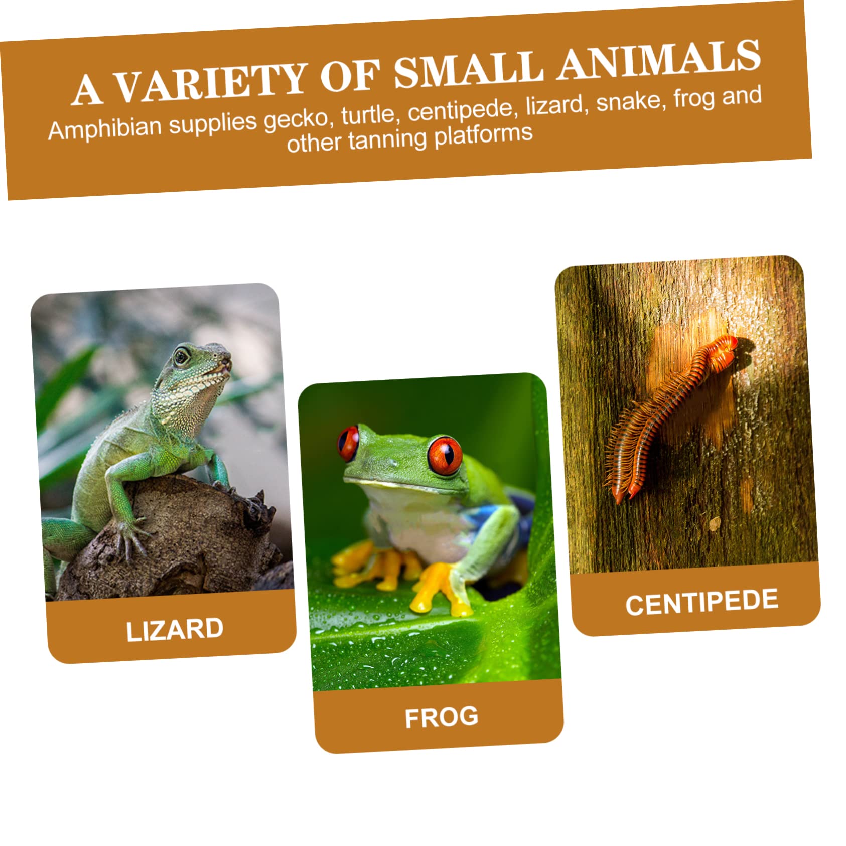 minkissy 5 Reptiles escondidos de Cuevas Lagarto escondite casa Tortuga escondite Cueva Reptil Ocultar terrario goblincore decoración de la habitación Acuario Peces escondite Acuario decoración