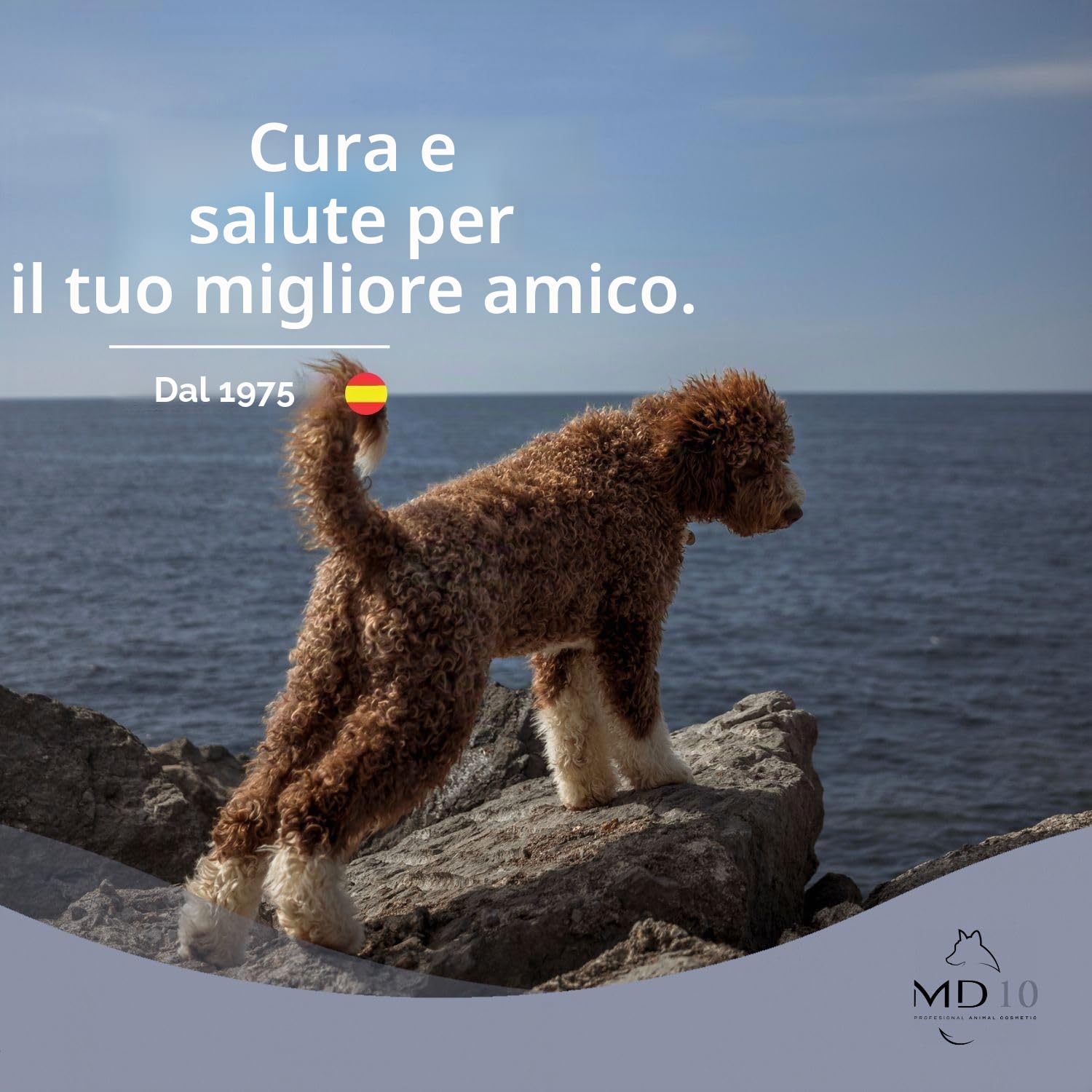 MD10 Shampoo e Balsamo per Lagotto Romagnolo - Per Cani a Pelo Lungo - Sciogli Nodi - Per il Riso