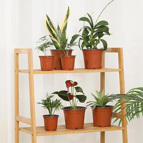 Miniatura 7 de GACEI 300 macetas de plástico de 4 pulgadas para plantas, macetas pequeñas de plántulas para suculentas, macetas con agujeros de drenaje, vienen con