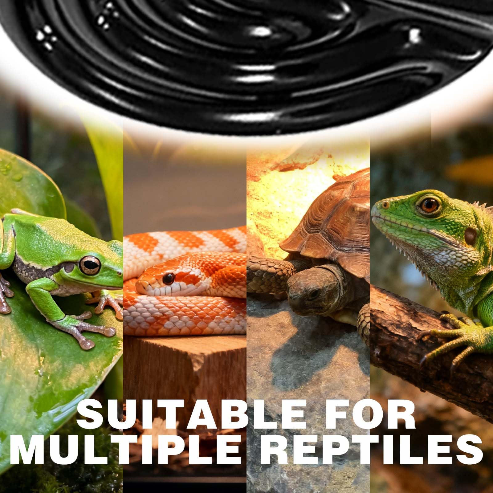75W Reptile Heat Lamp(2 Packs)-Ceramic Heat Emitter for Reptiles Amphibian Pet Brooders Chicken Incubation, and Terrariums Turtle Lizard Bearded Dragon Snake E26 - image 5
