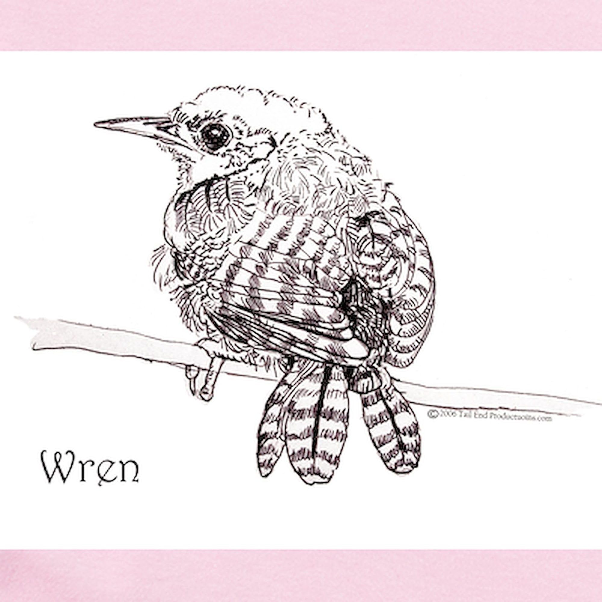 CafePress Little Brown Wren Long Sleeve Infant Bodysuit Unisex Long Sleeve Baby Bodysuit Infant Romper