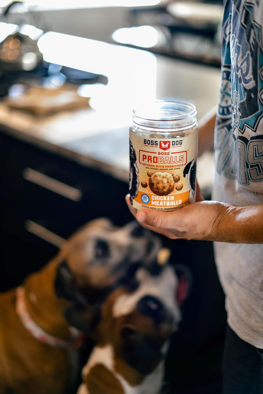 Boss Dog Boss Proballs Meatball Treats for Dogs & Cat, Chicken Recipe, 6 oz Jar (Jar of 2)