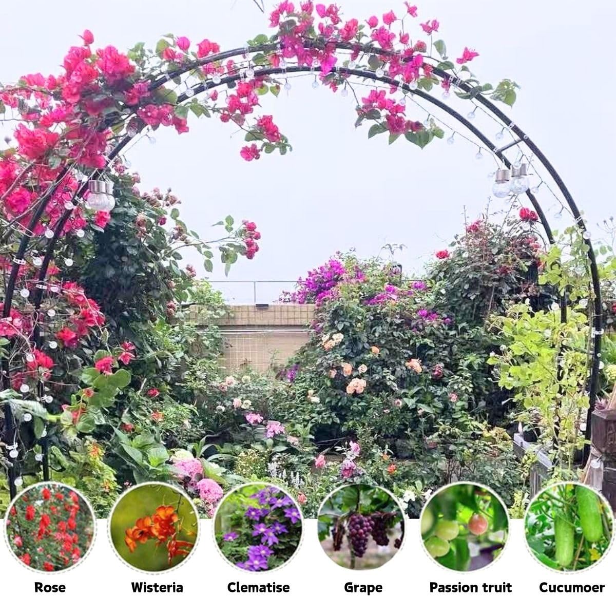 Schwarzer Metall-Gartenbogen, 240 x 220 cm, Rosenspalier für Kletterpflanzen, einfach zu montieren, Gartenlaube für Hinterhof, Landschaftsbau und Dekoration