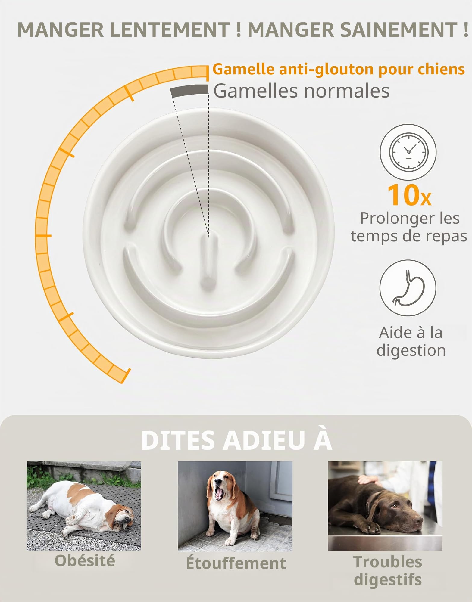 Gamelle Anti-Gloutonie pour Chiens de Moyenne et Grande, Bols Surélevés en Céramique pour Slow-Feeder, Antidérapante Gamelle pour Chiens, Ø 21cm, 1000ml, Blanc Ivoire1