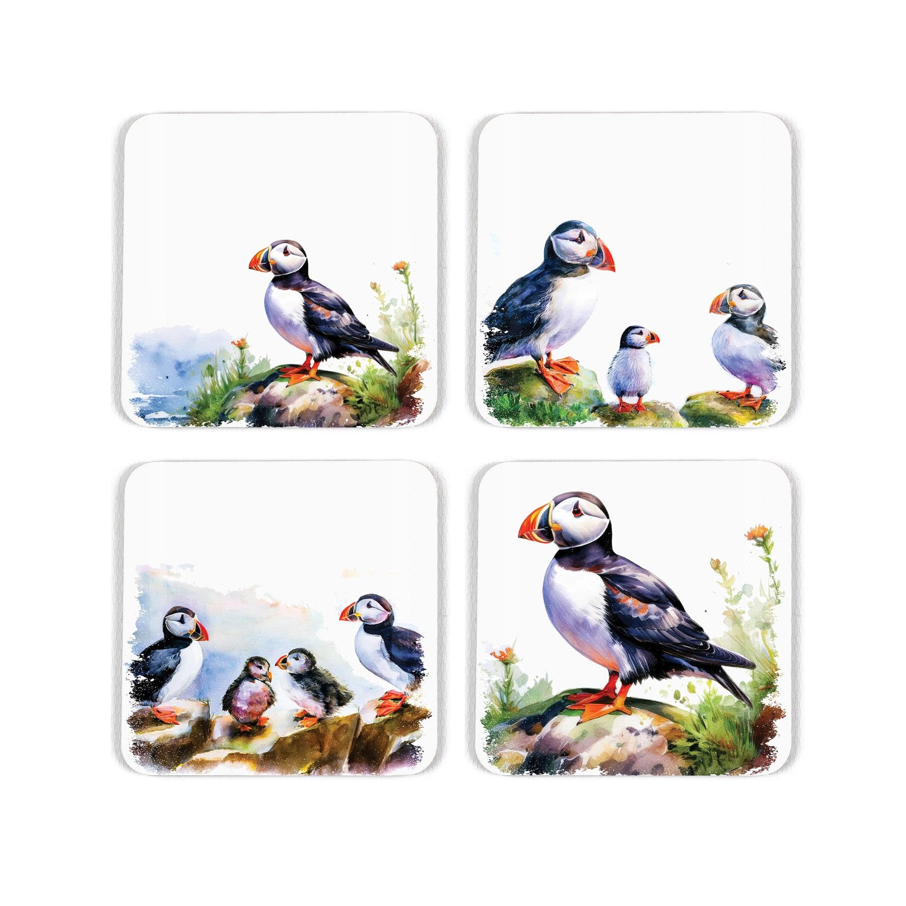 Purely Home Puffins On The Rocks Cork Coaster Set - Coastal Seabirds Gifts - Set Of Four (4) Square Drinks Coasters