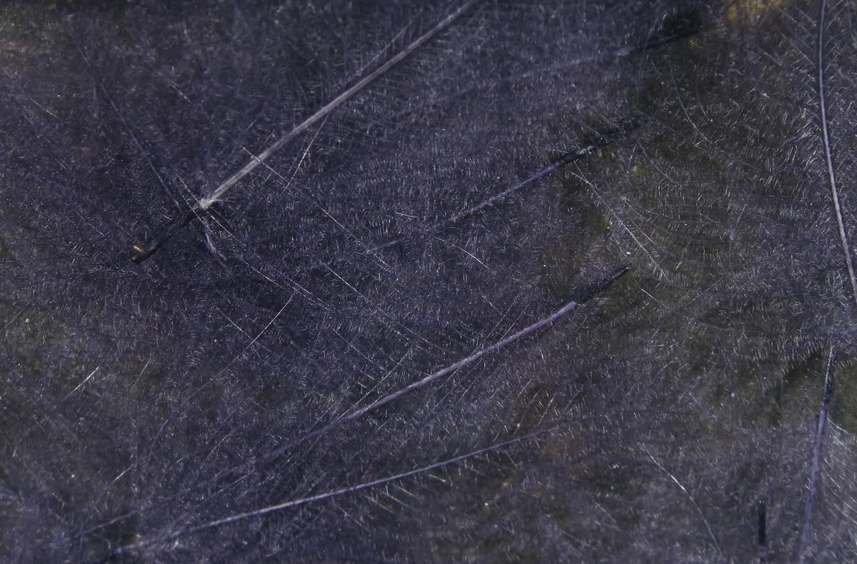 Hareline Fly Tying Cul de Canard (CDC) – Natural CDC Feathers for Fly Tying Dry Flies, Emergers & Comparaduns