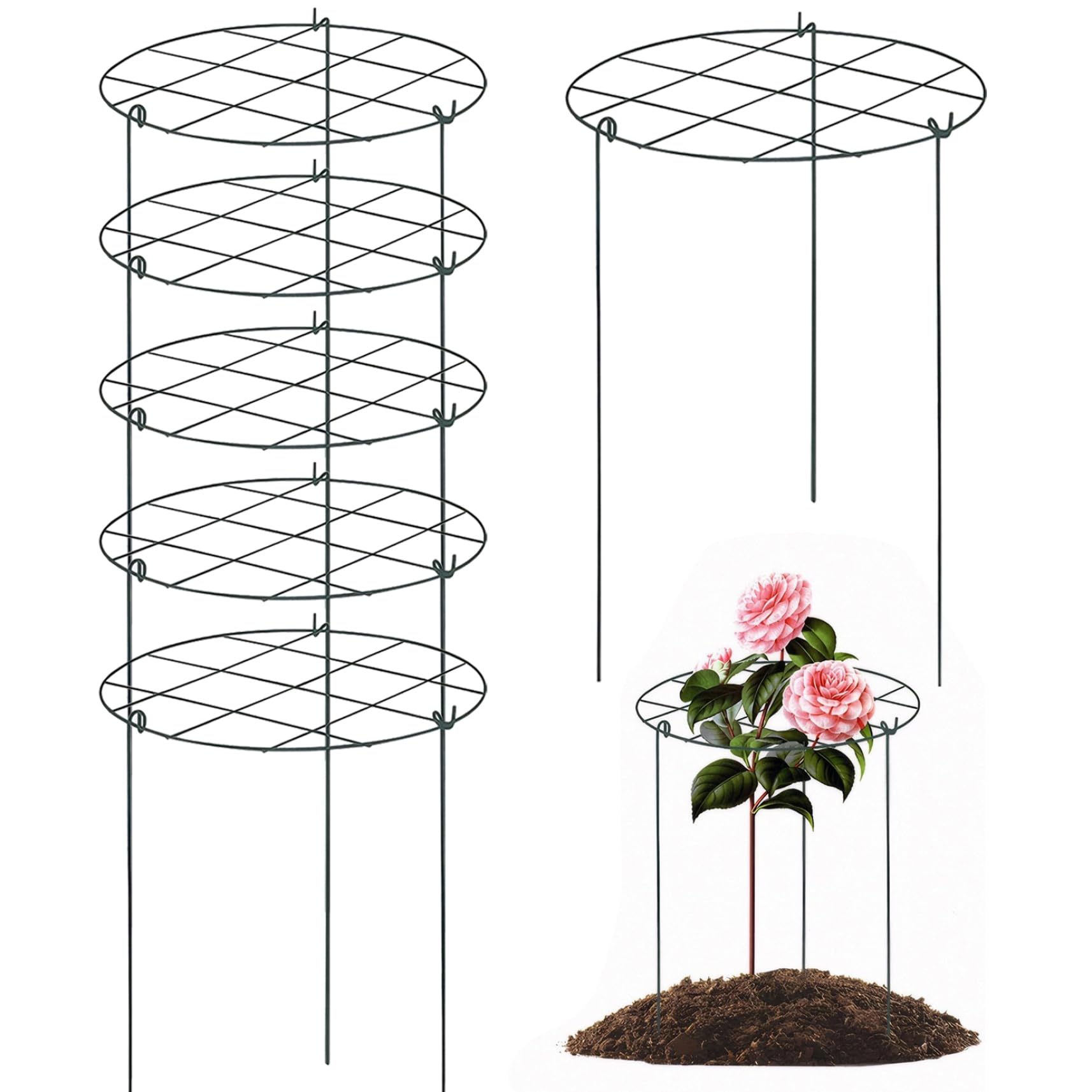 Supports plantes pour légumes et roses tuteurs de jardinage extérieurs x6