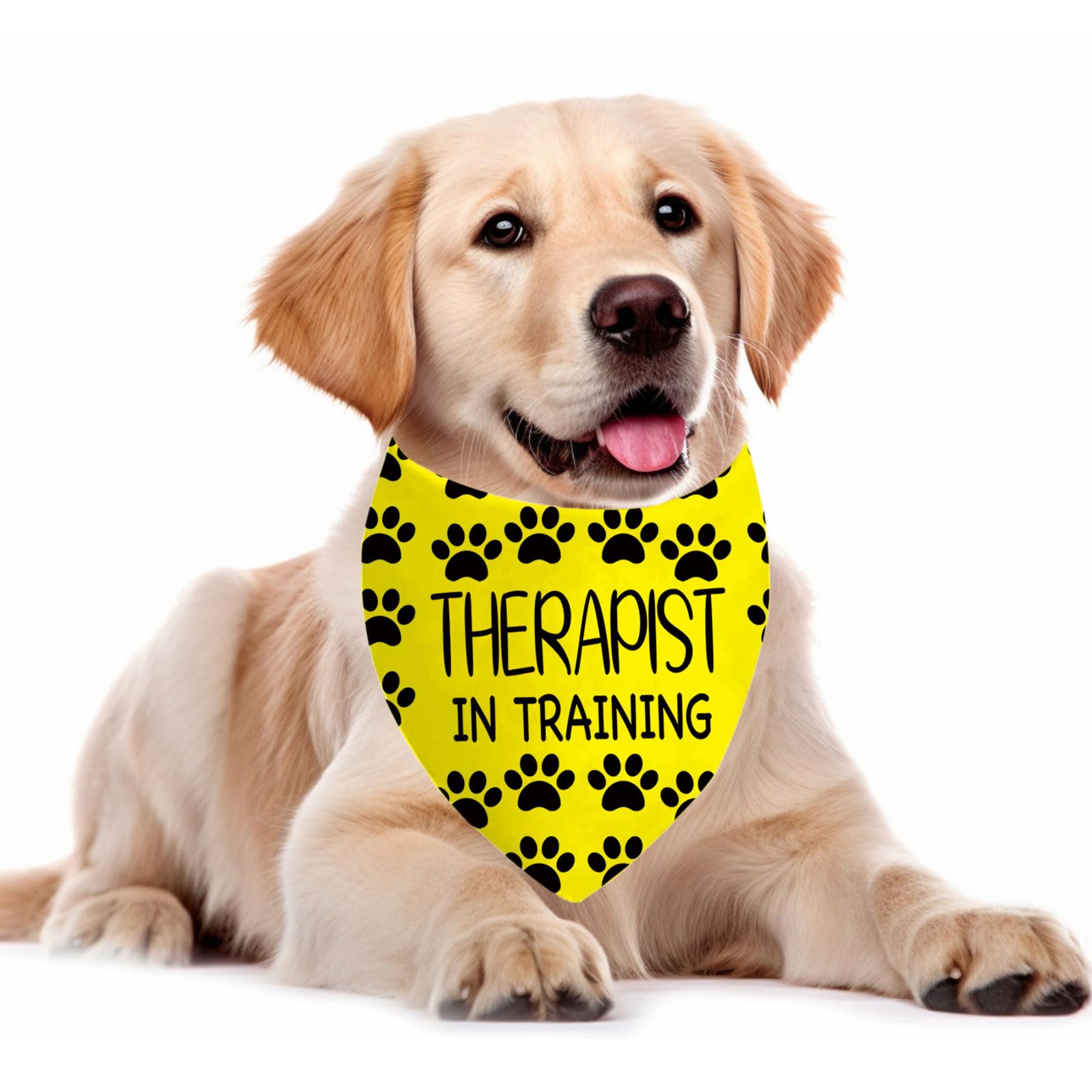 CENWA 1 Piece Therapy Dog Bandana Professional Therapy Dog Bandana Working Dog (therapist in training UK) - Image 3