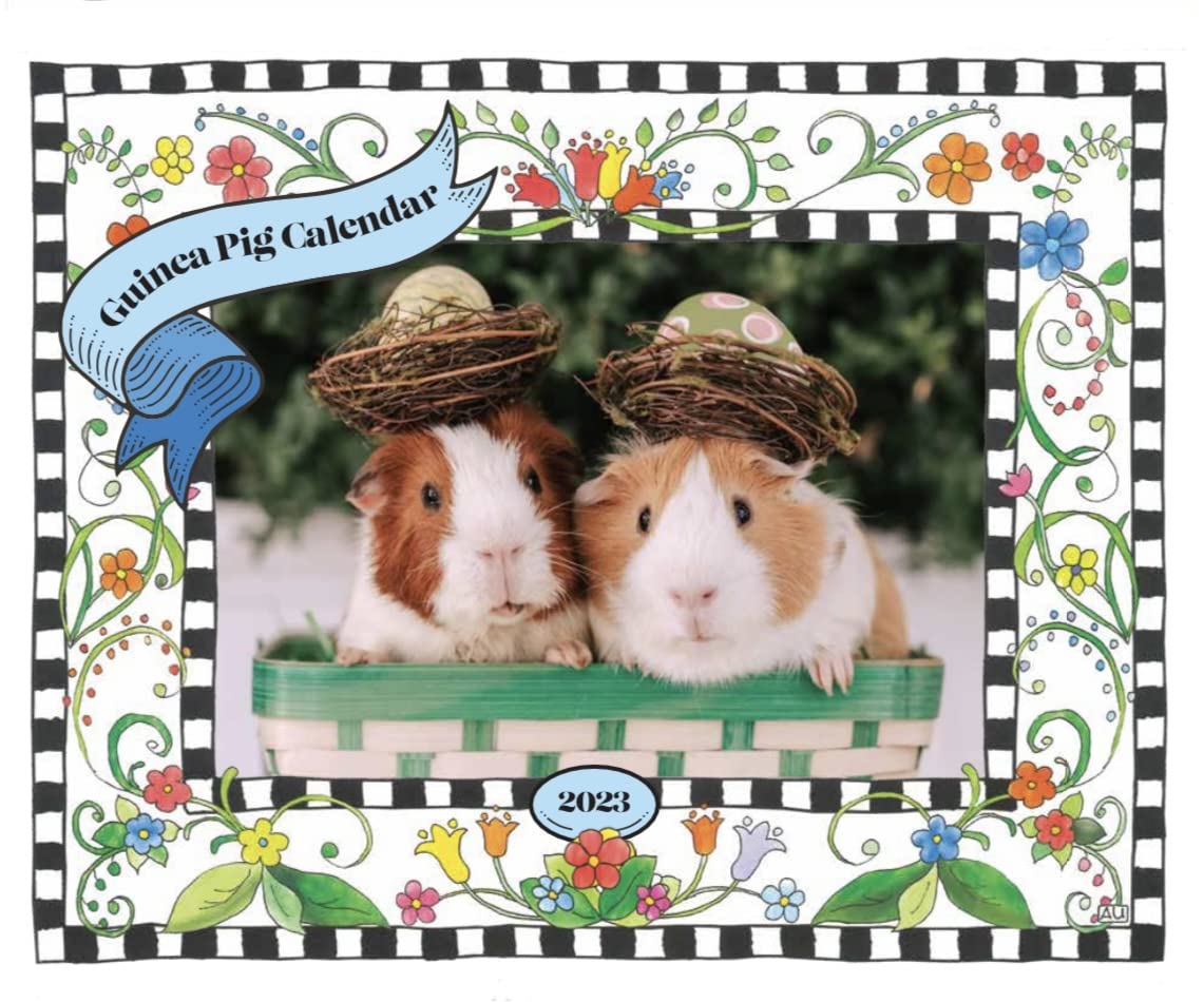 Amazon.com: 2023 Guinea Pig Calendar : Office Products