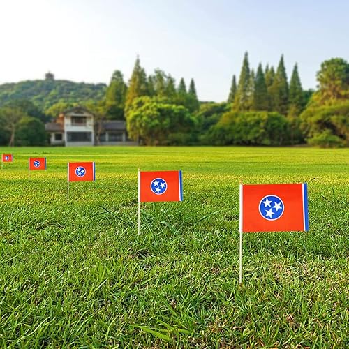Miniatura 6 de Newperlite Banderas pequeñas de mano de Tennessee Stick Flag - Poste de madera maciza y parte superior de lanza, paquete de 12, 5 x 8 pulgadas