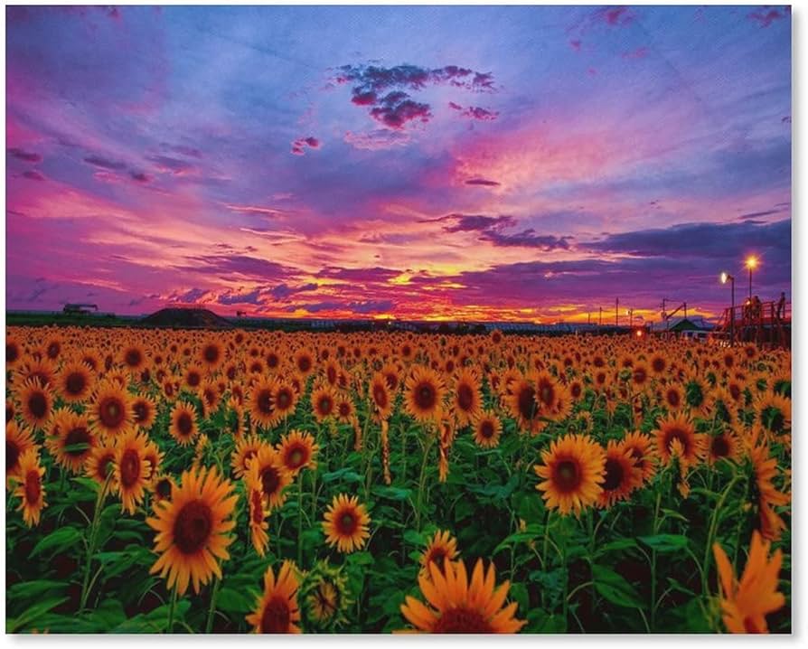 古いフランスの額 木製フレーム ひまわり