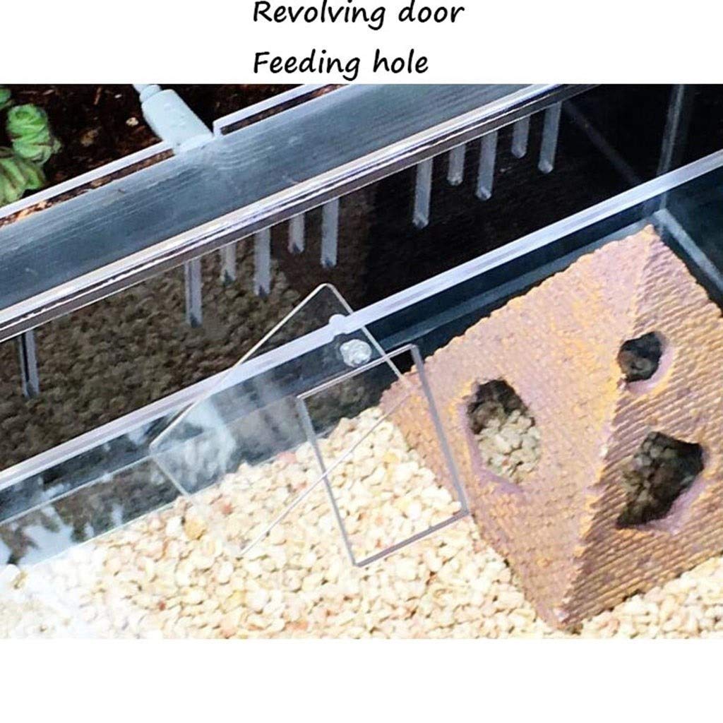 Terrario Gecko ecológico Transparente, Tienda de Mascotas, Nido Aislante para Reptiles, Tanque para Insectos hámster Erizo
