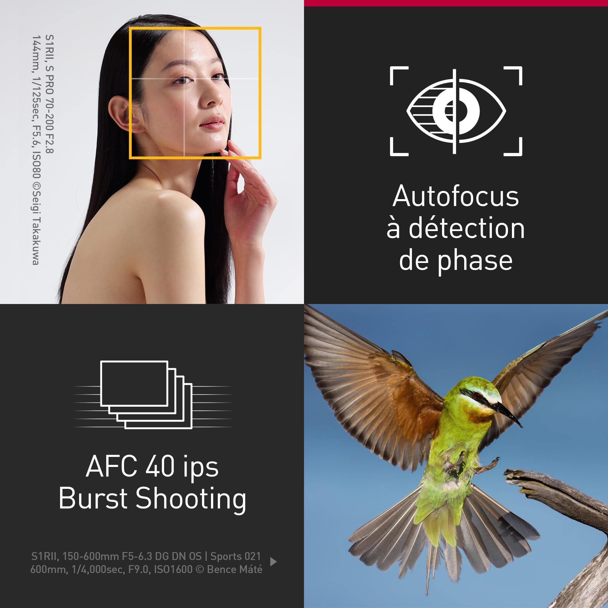 Panasonic LUMIX S1RII Appareil Photo Hybride avec Objectif 24-105mm F4, Capteur Plein Format 44,3MP, Vidéo 8K, AF Hybride à Détection de Phase, Double Stabilisateur, Audio 32-bit - Kit Complet