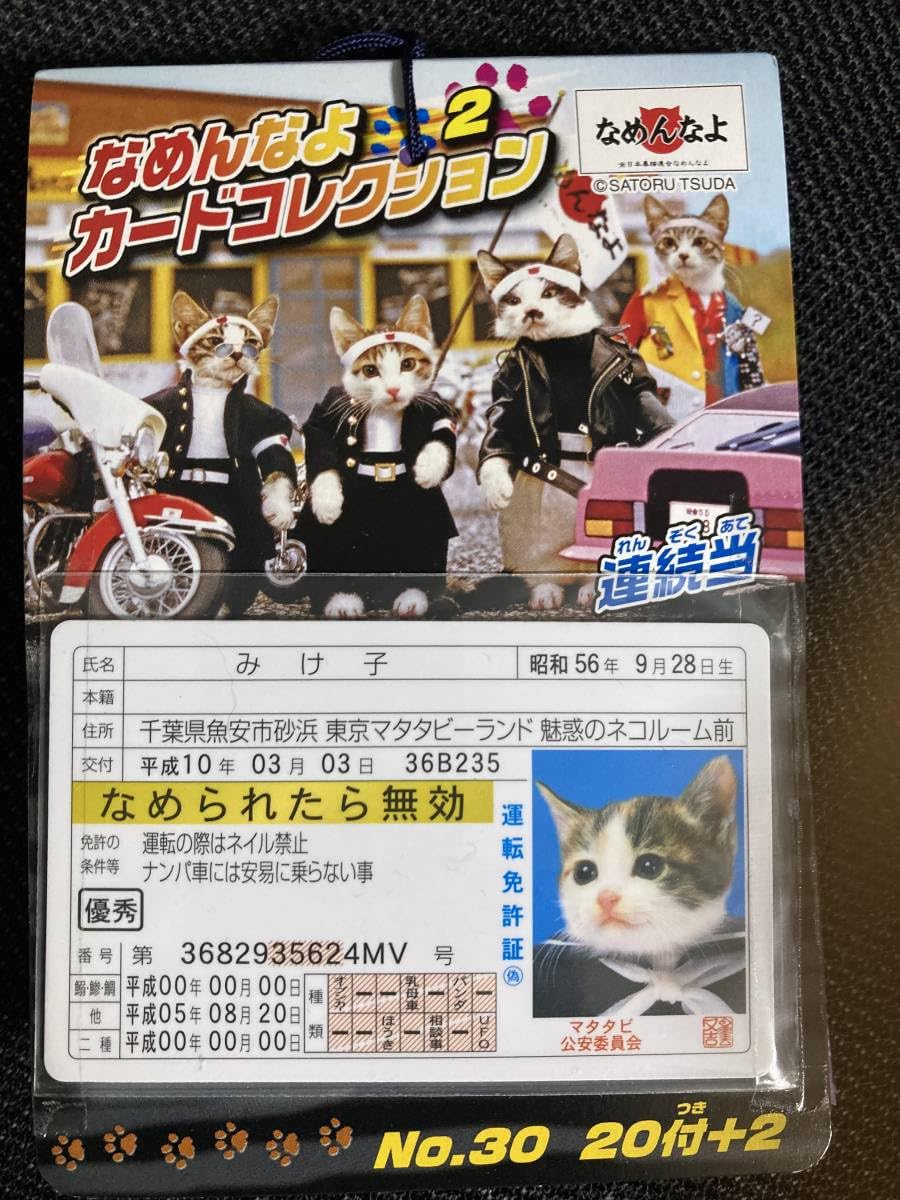 Amazon.co.jp: なめ猫 なめんなよ2 カードコレクション 23枚 免許証 他