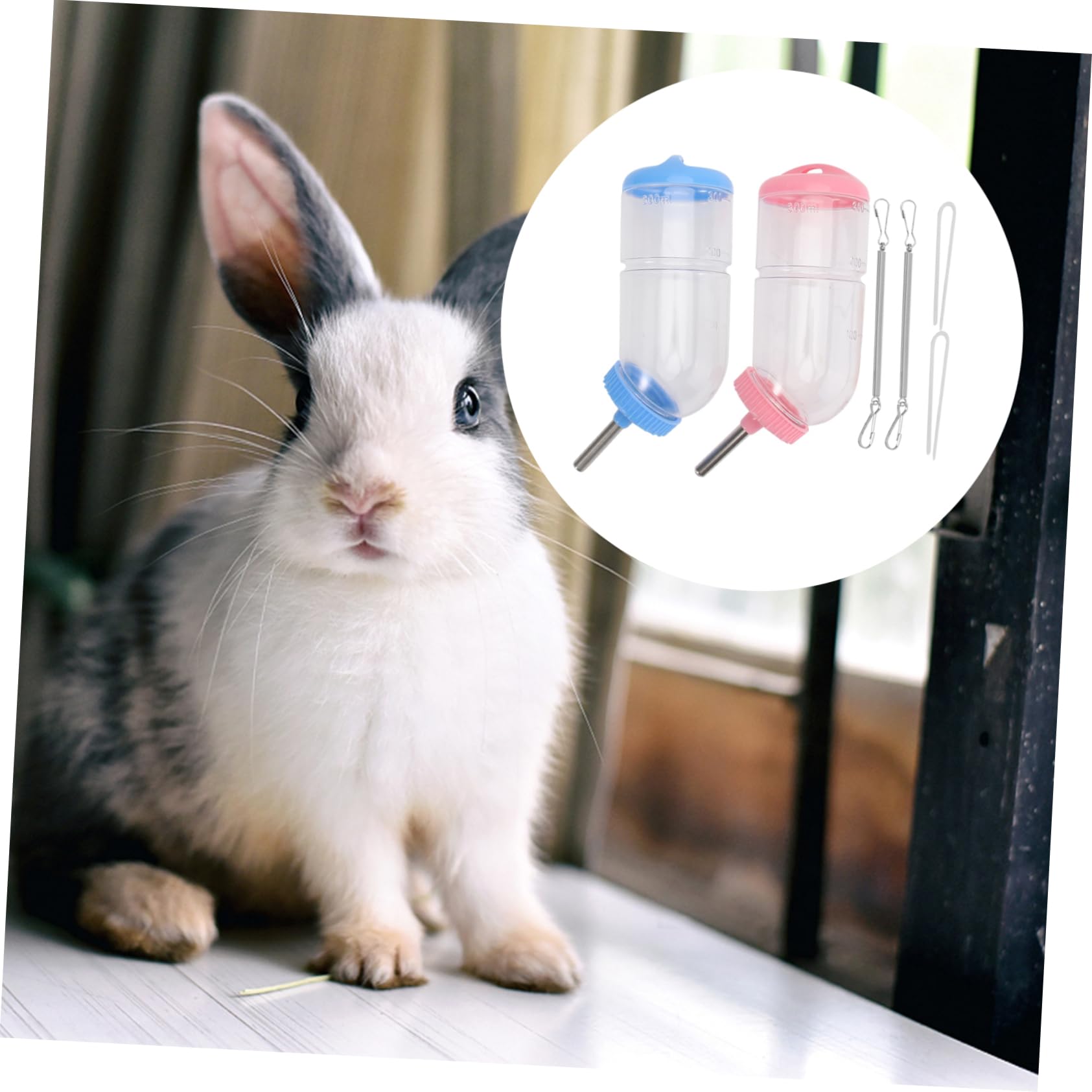 INOOMP 6pièces Bouteille Eau pour Animaux Abreuvoir à Créatif pour Rongeurs Et Petits Animaux De Couleur Aléatoire