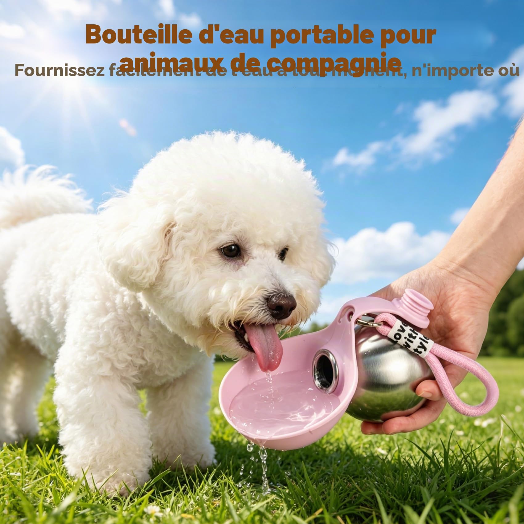 Gourde pour Chien Promenade, 285ml Bouteille Eau Chien en Acier Inoxydable, Gourde Anti-fuite avec Gamelle Pliable en Silicone, Bouteille d'eau Portable pour Chien pour Balades Voyages Camping