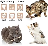 Vista 2 de Bissap 10 palitos masticables Silvervine para gatos, palitos masticables de hierba gatera, juguetes para gatos en interiores, dientes de gatitos