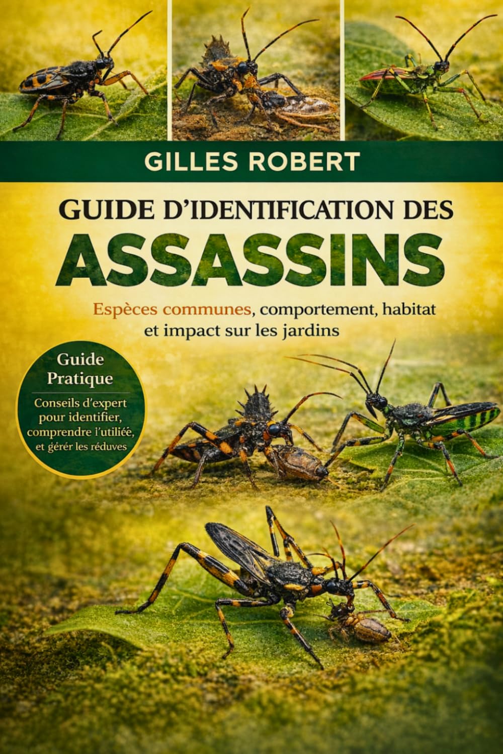 GUIDE D'IDENTIFICATION DES ASSASSINS: Espèces communes, comportement, habitat et impact sur les jardins