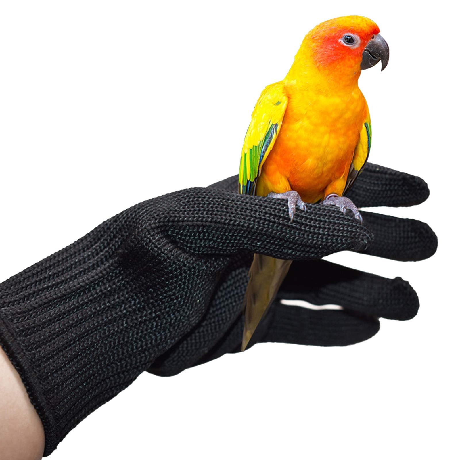 X spring Bird Training Anti Bite Gloves, Steel Wire Gloves for Parrot Chewing Safety Protective, Anti Bite Gloves for Birds, Small Animal Handling Gloves for Small Animal Pet Parrotlets (Black)