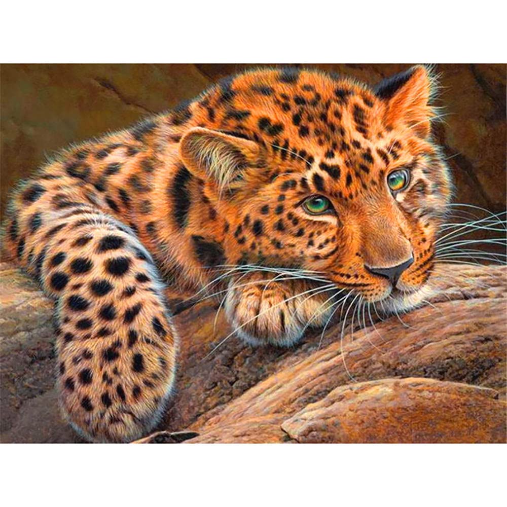 5D Diamond Painting „Tiger“ – DIY Strassbild Zum Kleben, 30x60 Cm, Voller Diamant-Effekt