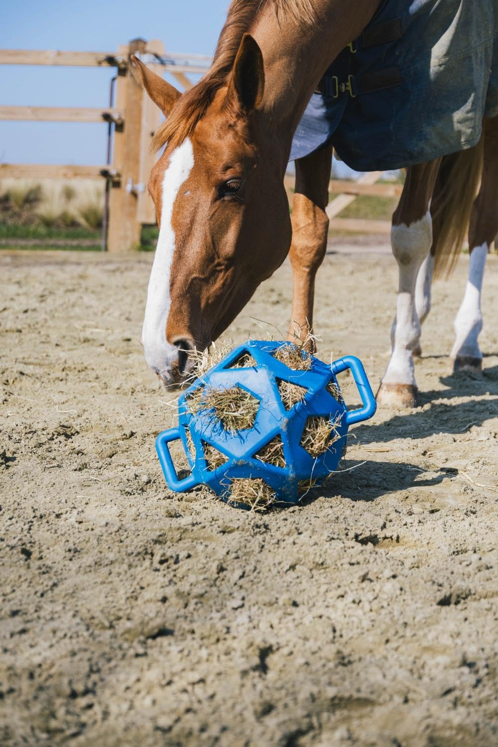 Kentucky - Relax Horse Spiel & Heuball Royal Blue Grösse L 40cm