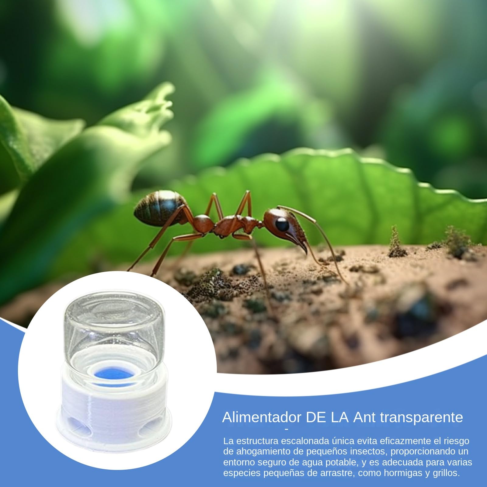 Líquido para Hormigas | Estación De Agua para Abejas - Bebedero Multifuncional Transparente para Abejas, Granja, Exterior y Aula