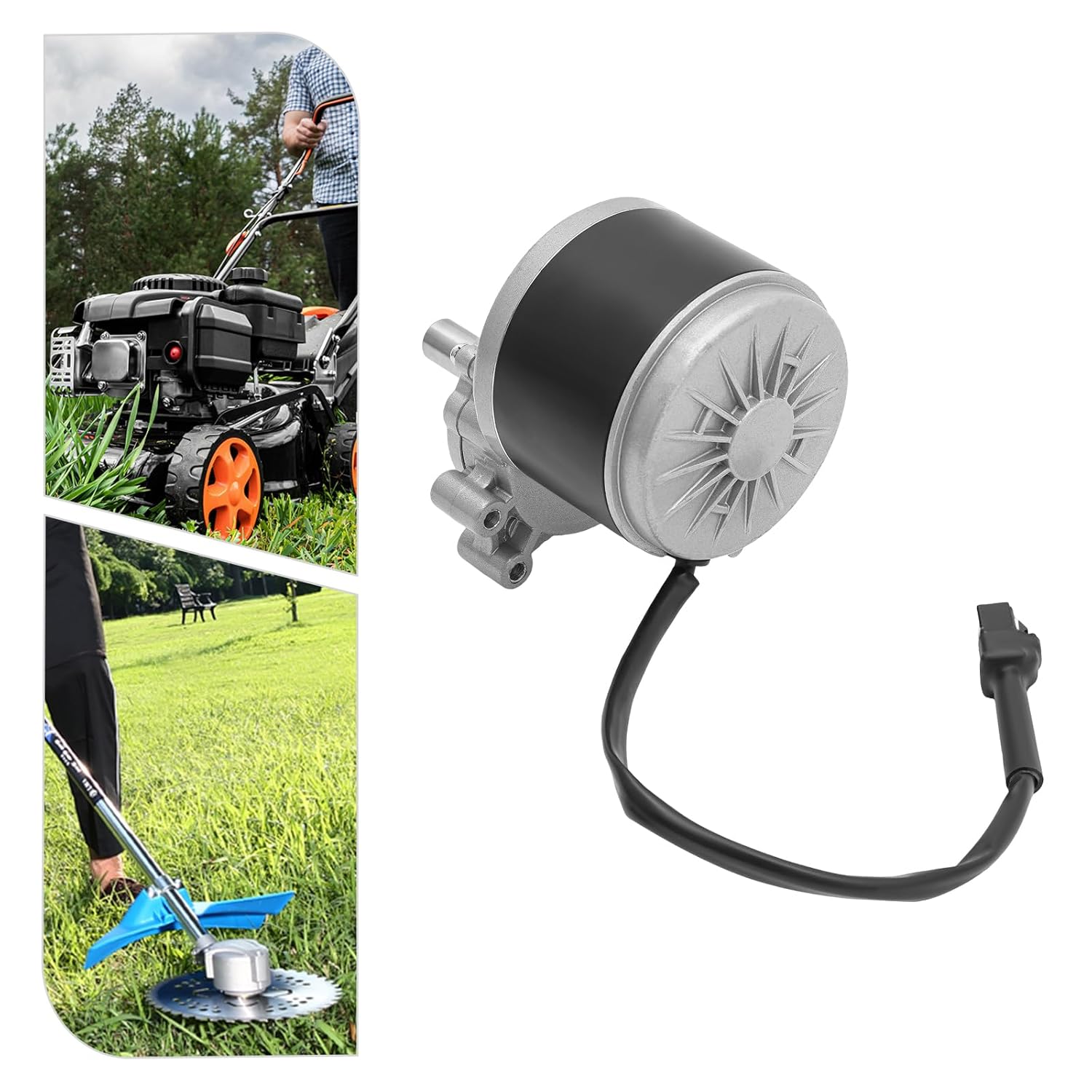 250W 24V Brushed DC Gear Motor, Electric Motor Brushed,Low Speed Motor Beach Bike Motor for Electric Wheelchairs Motorcycles 75r/min