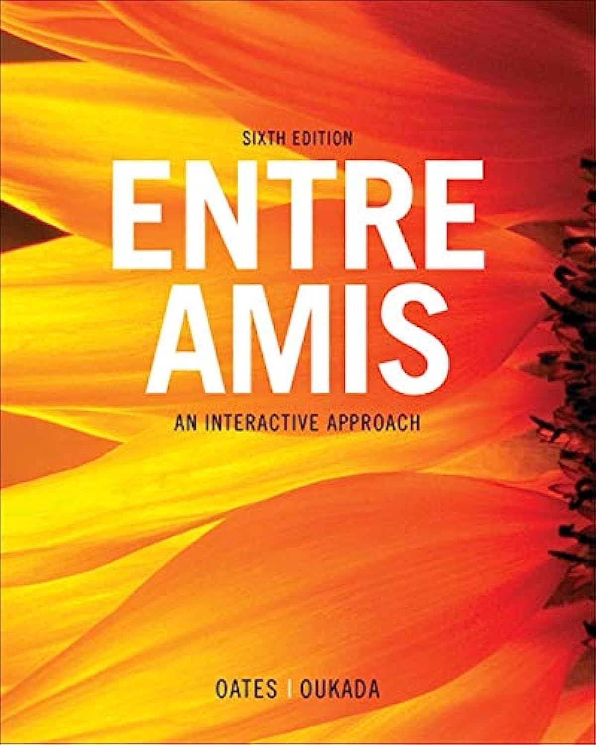 Entre Amis, 6th Edition - Instructor Resources (Instructor Guide + Test Bank + Audios + PowerPoint Presentations + Other Resources) - img