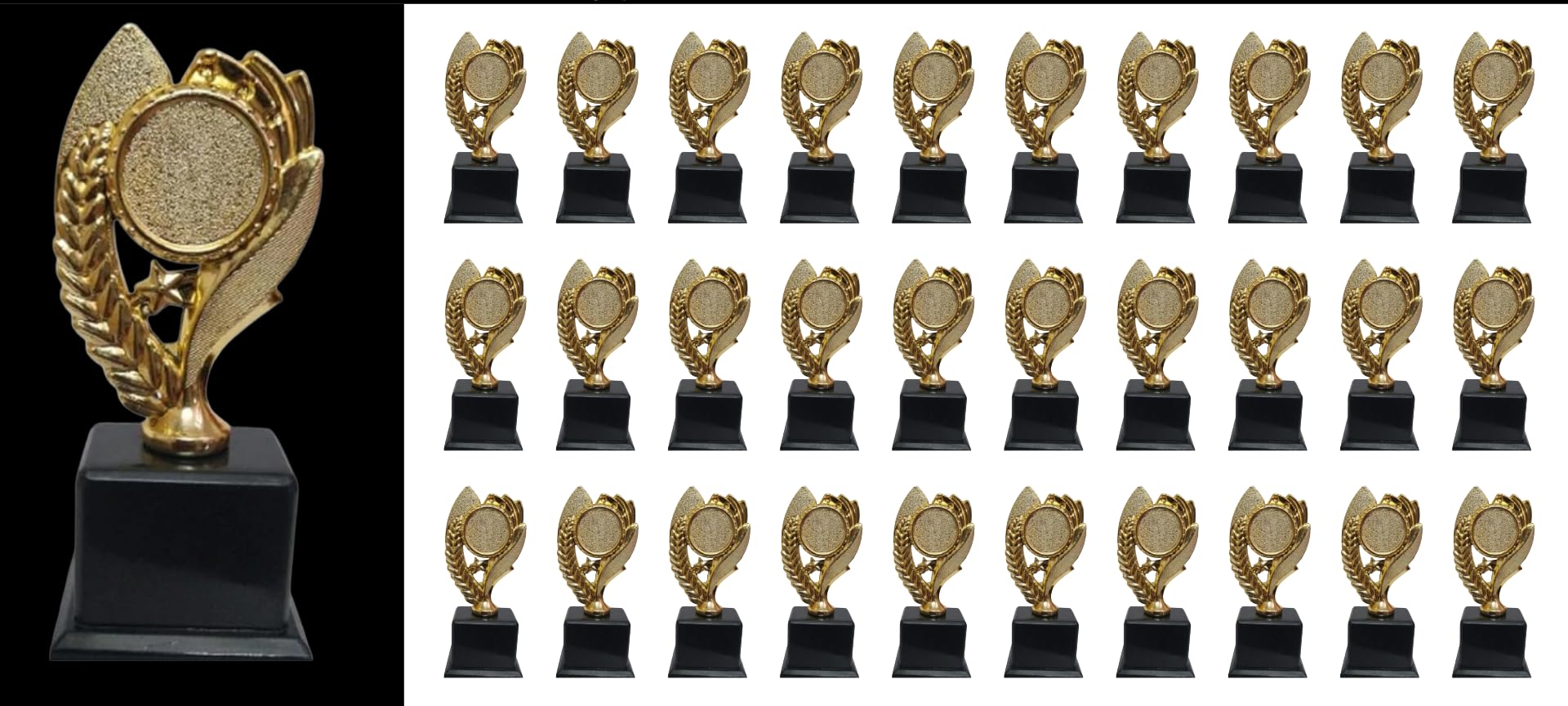 Golden Trophy for Winners (30)-image-3