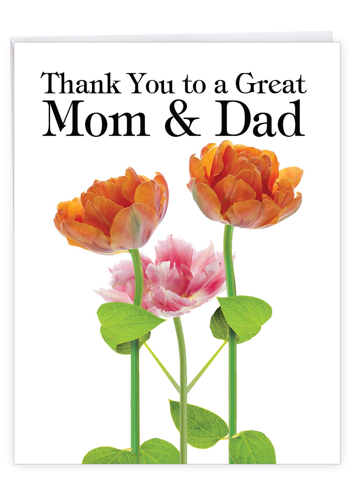 Thank you！ Beautiful 8.5 x 11 Inch Greeting Card w/Envelope 'Thank You To A