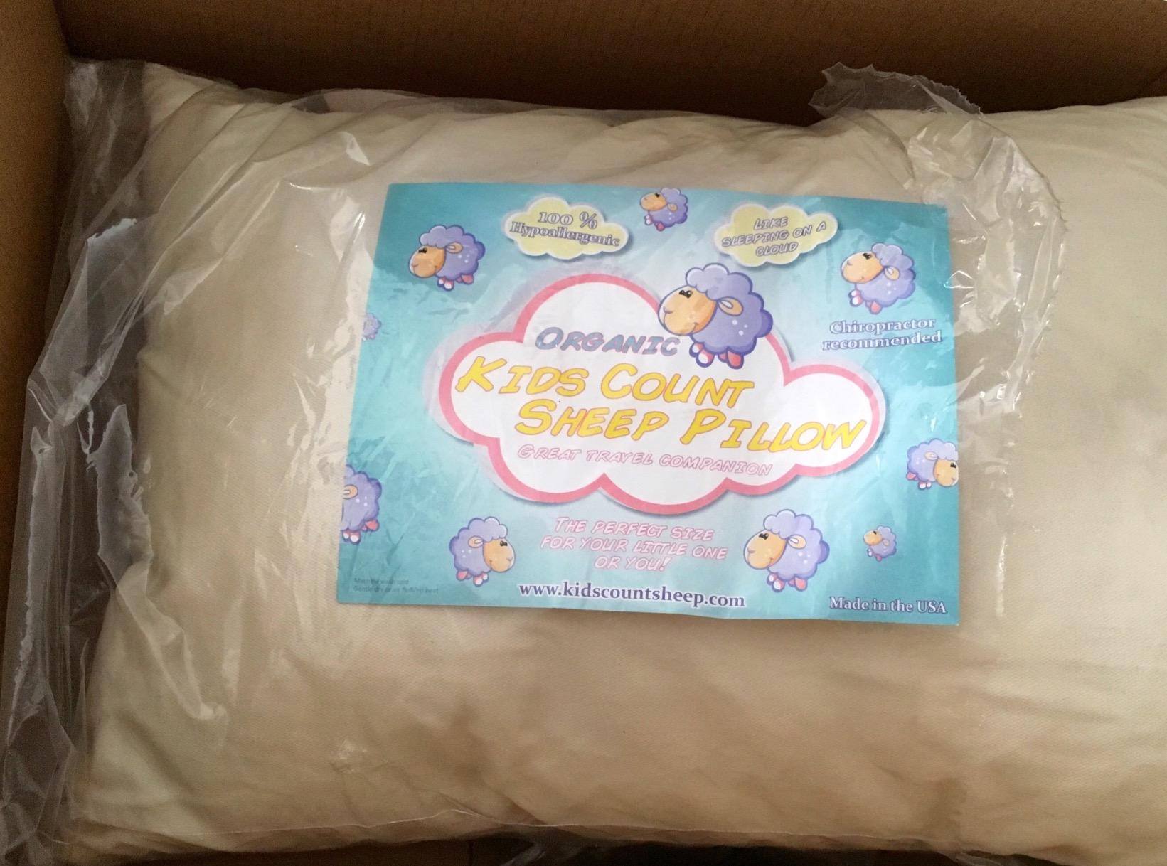 Kids Count Sheep Toddler Pillow Organic Hypoallergenic