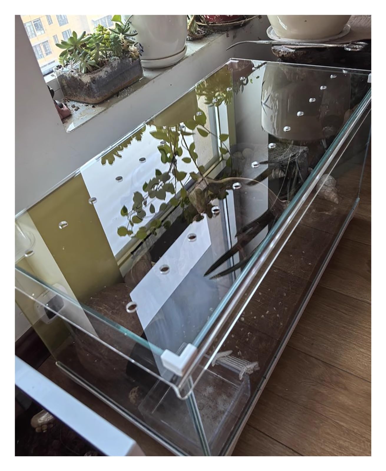 Copertura trasparente per acquario in acrilico, anti-salto, per rettili, tartarughe che saltano fuori, dimensioni personalizzate, 100 x 35 cm