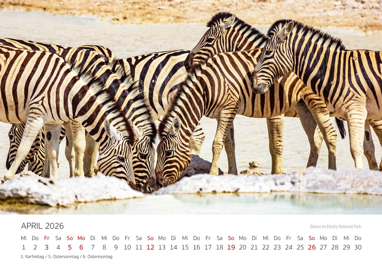 Edition Seidel Premium Kalender Namibia 2026 Format DIN A3 Wandkalender Afrika Windhoek Deadvlei Wüste Dünen Nationalpark Wildtiere Peter Schickert